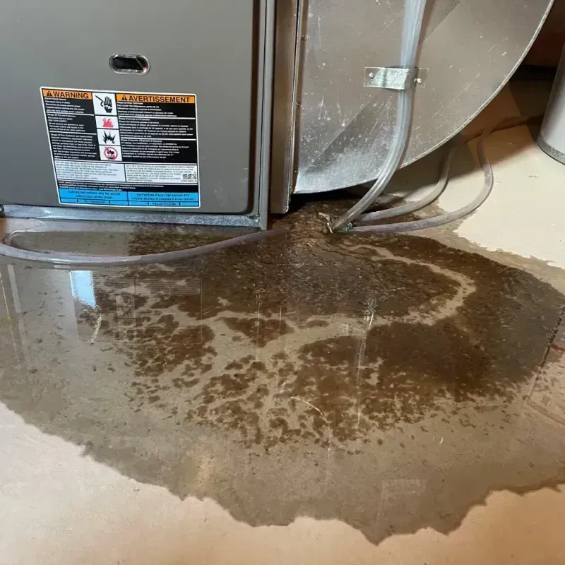 Appliance Leak Cleanup in Gateway, FL